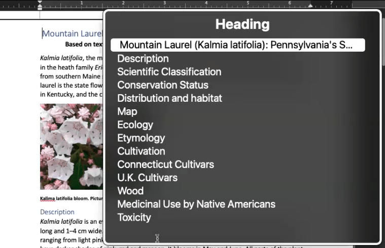 Word file with a the Voiceover rotor showing a list of headings in a document about mountain laurels. Headings include Description, Scientific Classification and Map.